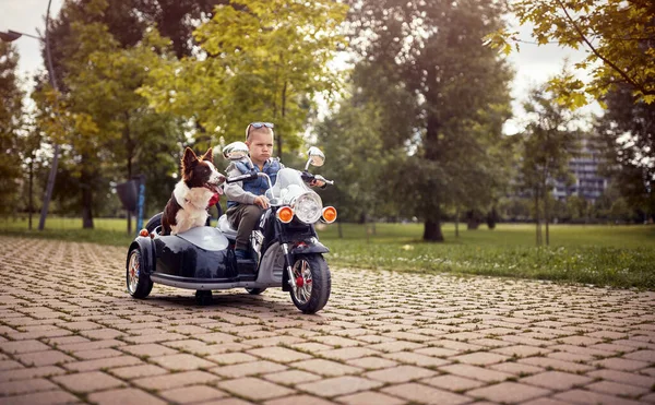 小孩在电动车上皱着眉头 开车带着狗 — 图库照片