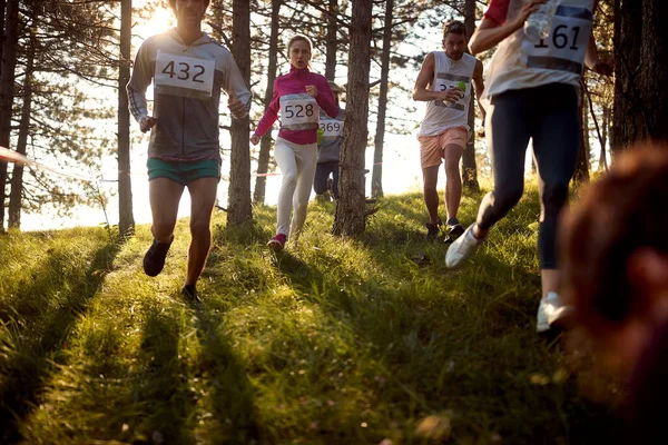 森の中を走る人々の健康なグループ 森の中のマラソン スポーツ ランニング マラソンのコンセプト — ストック写真