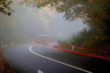 Sisli bir sonbahar gününde ormanda yol üzerinde bir arabanın silueti. Doğa, yol, yolculuk