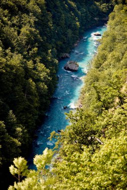 Turkuaz dağ nehri güzel bir dağ kanyonunda akar.