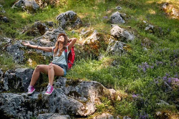 여행자는 속에서 등산을 즐긴다 자연의 — 스톡 사진