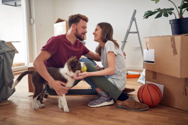 Küçük şirin bir köpek yavrusu kucağında insanlara bakıyor ve öpüşmek üzere olduklarının farkında olmadan ne yaptıklarını merak ediyor.