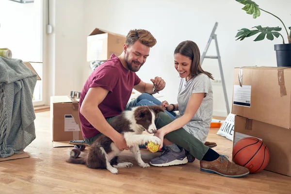 Cute Young Caucasian Couple Playing Dog New Apartment Unpacked Cardboard — Stock Photo, Image