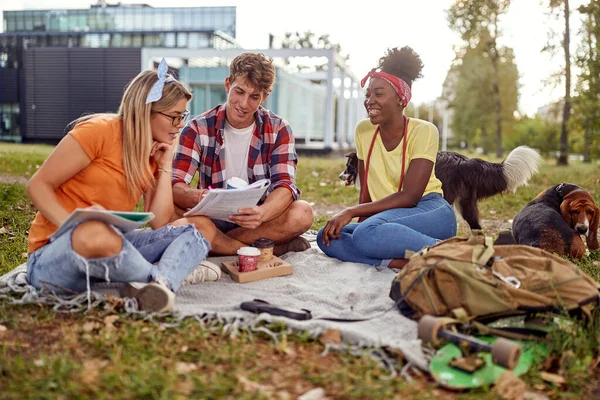 一群学生和他们的狗在公园里一起坐在草地上 一边阅读剧本 — 图库照片