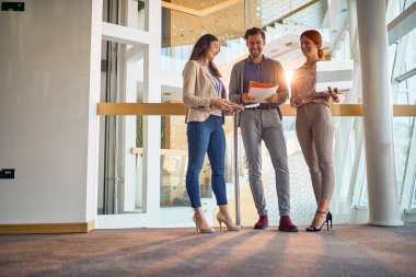 Bir proje için danışmanlık yapan bir grup motive iş arkadaşı