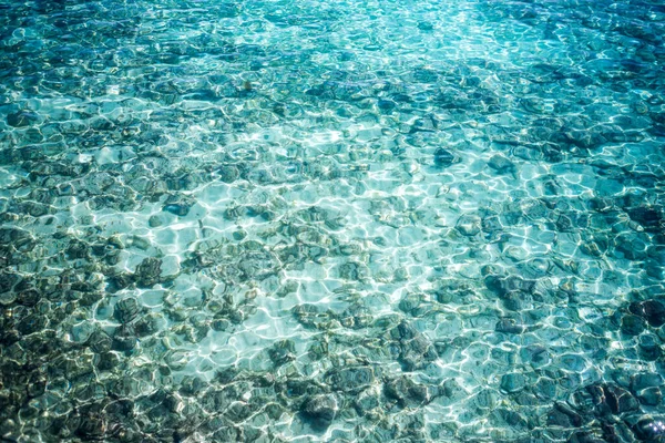 Tropical Sea Details Clear Transparent Water Daylight — Stock Photo, Image