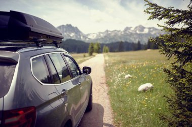 Yoldaki arabanın arka manzarası. Yeşil çayır ve arka planda dağlar. Ulaşım, yolculuk, doğa konsepti.