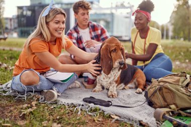 Bir grup arkadaş bir köpekle piknik yapıyor.
