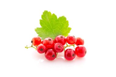 Taze sulu üzümlü kuşüzümü, ıssız bir yerde.