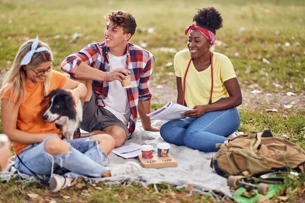 Group Students Enjoying While Sitting Grass Beautiful Day Park Dogs — стоковое фото