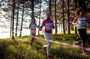 Sporcular güzel güneşli bir günde ormanda maraton koşar. Doğa, maraton, sporcular