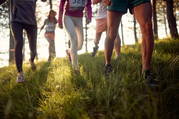 Koşucular Maraton Koşusunda Ormanda Hızlı Koşarlar — Stok fotoğraf
