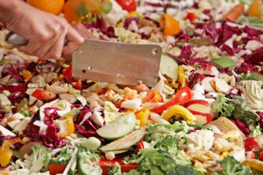 çılgın doğrama sebze