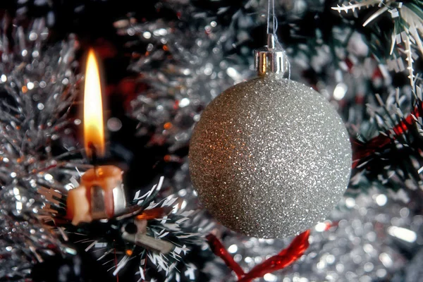 Árbol de Navidad — Foto de Stock