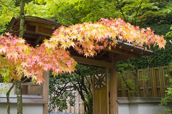 Herbstfarben im japanischen Garten — Stockfoto