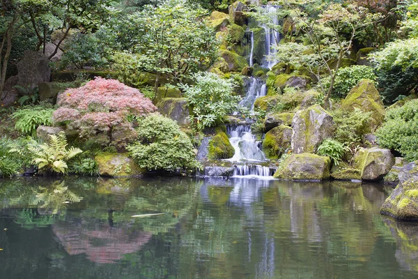 Japonês Jardim Koi Lagoa com Cachoeira — Fotografia de Stock