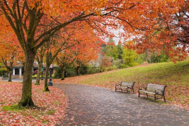 yürüyüş ve bisiklet parkurları sonbaharda park
