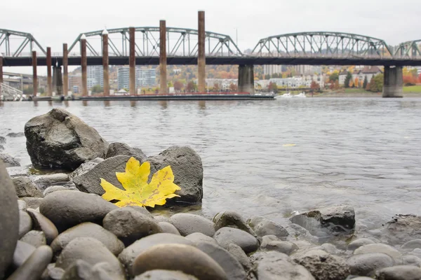 Sonbahar sezonu boyunca portland marina tarafından willamette Nehri — Stok fotoğraf