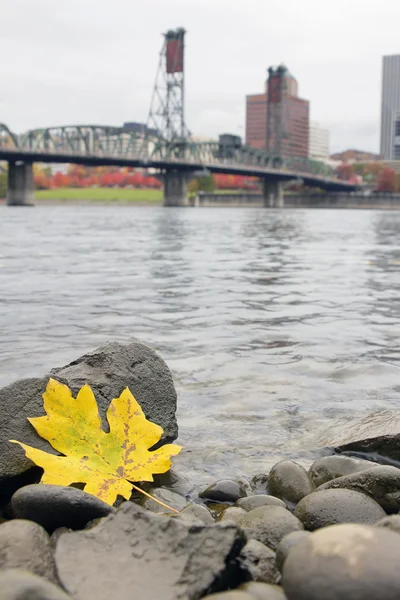Herbstsaison entlang des willamette river portland oregon — Stockfoto