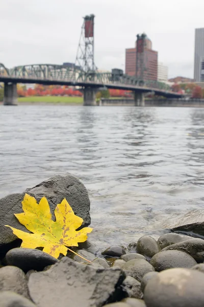 Stagione autunnale lungo Willamette River Portland Oregon — Foto Stock