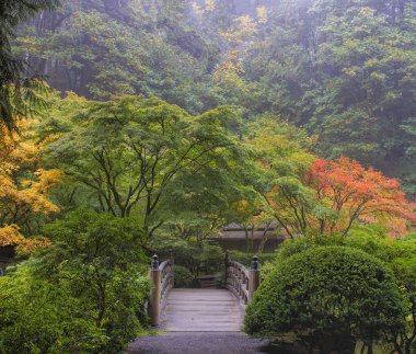 Foggy Morning in Japanese Garden clipart