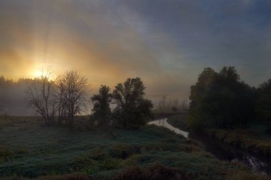Gündoğumu sırasında Washington eyaletindeki Somon Creek Greenway Patikası boyunca bataklıklar
