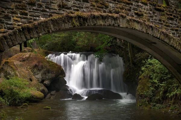 Whatcom Falls Old Stone Bridge — Stock Photo, Image