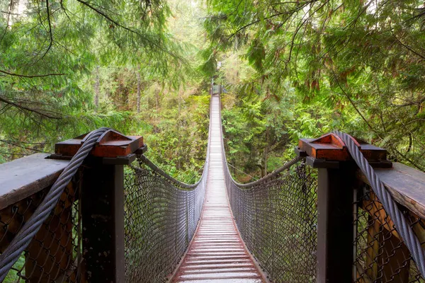 Lynn Canyon Suspension Bridge Vancouver Kolumbia Brytyjska Kanada — Zdjęcie stockowe