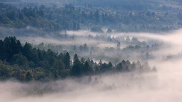 Ultra High Definition Zeitraffer Film Von Niedrigen Wolken Und Nebel — Stockvideo