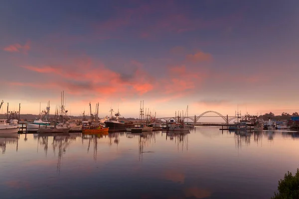 オレゴン州のニューポート港のマリーナによる日没 — ストック写真