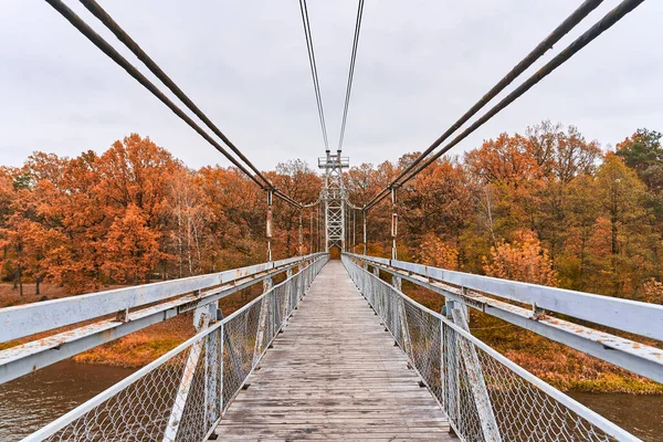 这座长悬索桥伸向远方 秋天的黄林耸立在背景上 步行的地方 — 图库照片