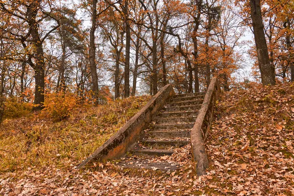 Pleasant Old Staircase Covered Fallen Leaves Beautiful Landscape Autumn Forest — Stock Photo, Image