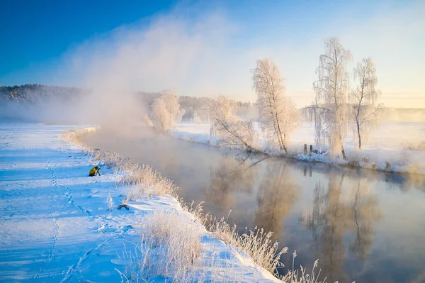 Amazing Winter Landscape River Photographer Takes Pictures Landscapes Winter Tree — Stock Photo, Image