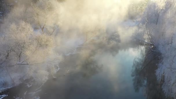 Dimineaţa Însorită Peisaj Frumos Iarnă Râu Ceață Copaci Albi Acoperiți — Videoclip de stoc