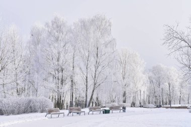 Kış boyunca şehir parkı. Yalnızlık ve meditasyon yeri.