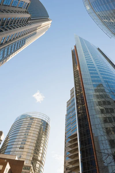 Skyscrapers of Sydney — Stock Photo, Image