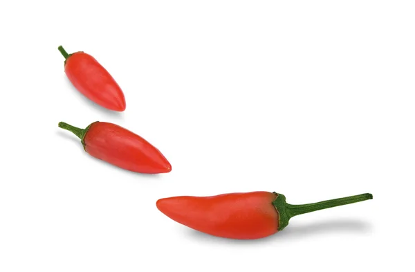 Chili rojo picante — Foto de Stock