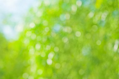 güzel doğal bokeh