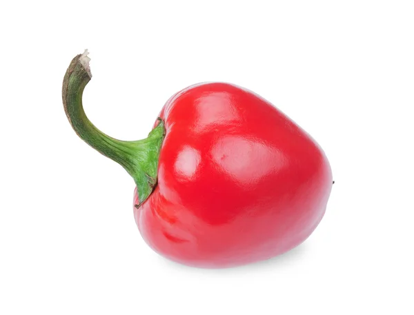 Peperoncino piccante rosso — Foto Stock