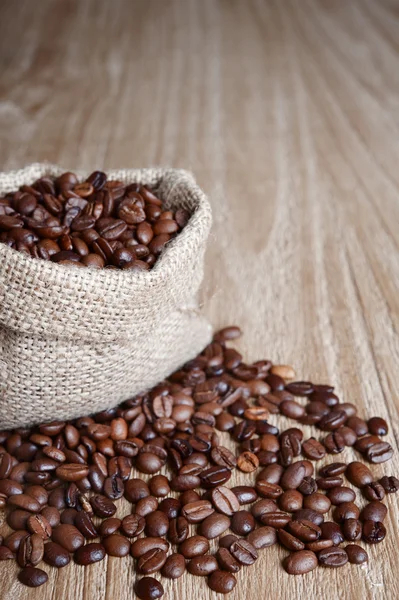 Coffee beans — Stock Photo, Image