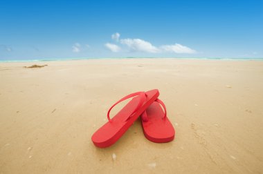 Red flip flops on the beach