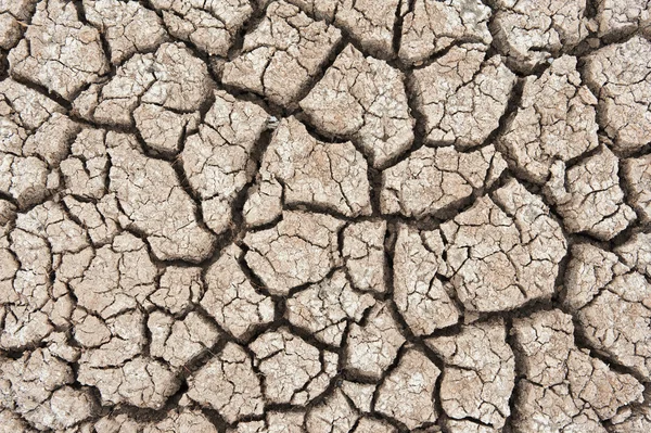 Closeup of dry soil — Stock Photo, Image