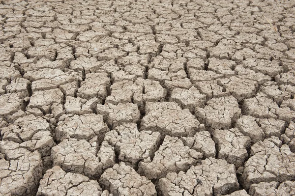 Closeup of dry soil — Stock Photo, Image