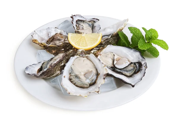 Half a dozen oysters — Stock Photo, Image