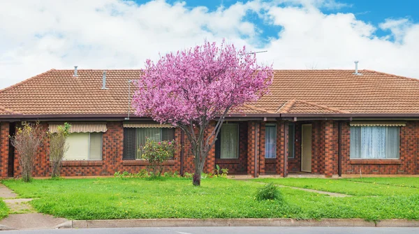 Modern Suburban House — Stock Photo, Image