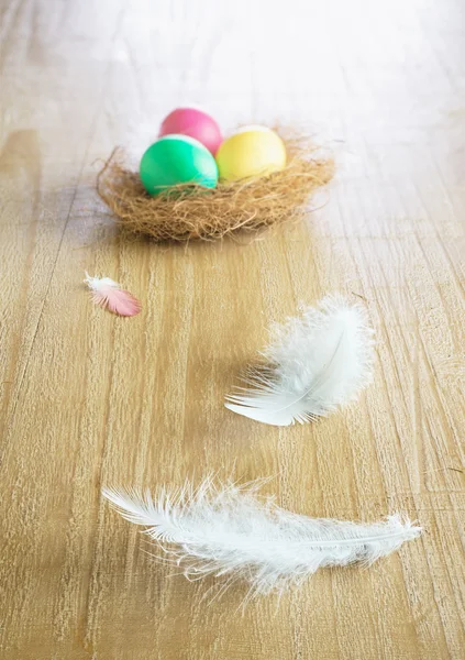 Eggs and white feather — Stock Photo, Image