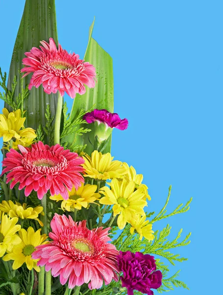 Bouquet di fiori colorati — Foto Stock