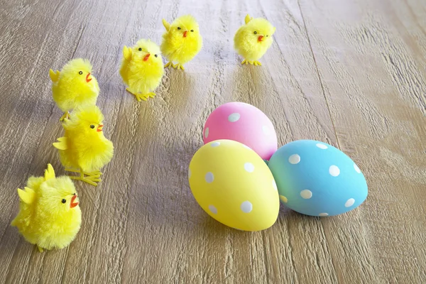 Multicolored easter eggs and chickens — Stock Photo, Image