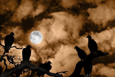 Vultures silhouetted against a full moon and spooky orange sky clipart
