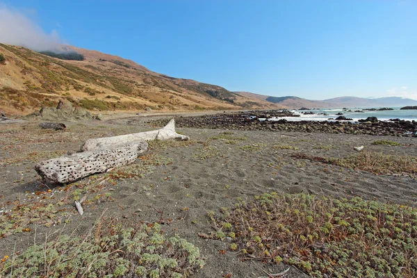 Spiaggia di ghiaia e legni alla deriva sulla costa perduta della California — Foto Stock